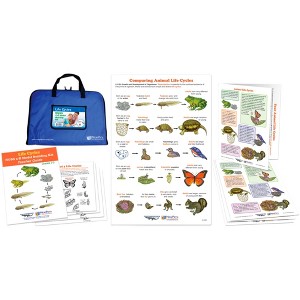 NewPath Learning Life Cycles NGSS 2D Model Building Kit - 1 of 1