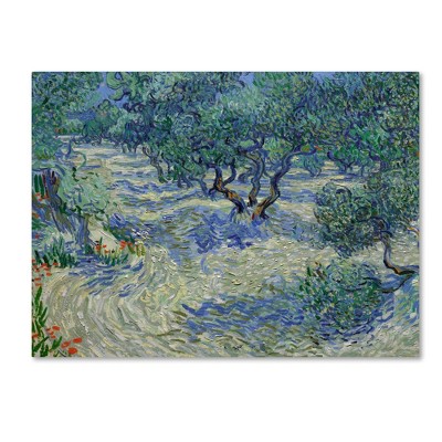 Van Gogh Olive Orchard 35x47 Gallery-Wrapped Canvas Art