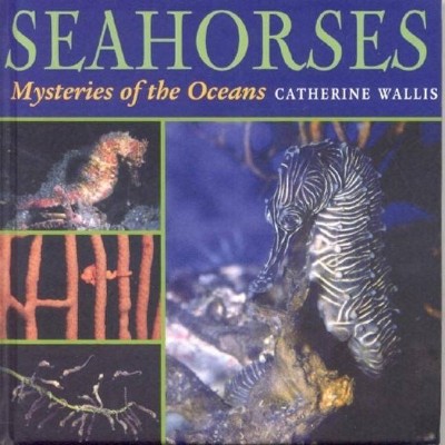  Seahorses - by  Catherine Wallis (Hardcover) 