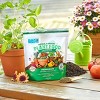 Back to the Roots 1.5lb Organic Plant Food All Purpose Premium Blend: Nutrient-Rich for Indoor & Outdoor Gardens, Non-Synthetic - 2 of 4