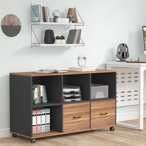 Lantine 2 Drawers Lateral File Cabinets, Home Office 47