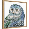 Amanti Art Beautiful Owls I Peacock Crop by Daphne Brissonnet Canvas Wall Art Print Framed 16-in. x 16-in. - 3 of 4