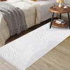 Coucheta Runner Rug Plush Faux Lamb Wool Carpet Machine Washable Non-Slip Foldable for Hallway Kitchen, Multi-Color & Size - 3 of 4