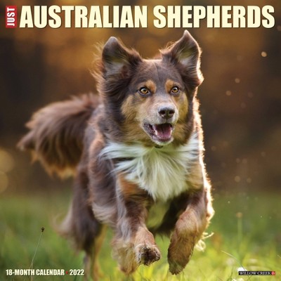 2022 Wall Calendar Just Australian Shepherds - Willow Creek Press