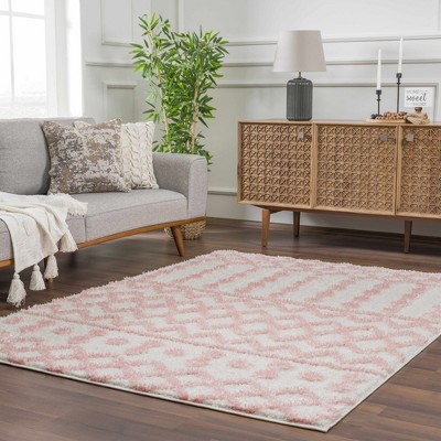 Hauteloom Darva Pink Plush Area Carpet