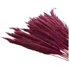 35 In. x 2 In. Dried Plant Pampas Natural Foliage with Long Stems Pink - Olivia & May - 4 of 4