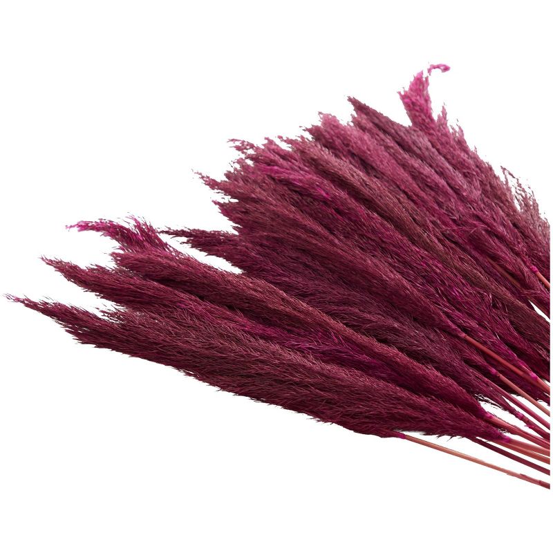 35 In. x 2 In. Dried Plant Pampas Natural Foliage with Long Stems Pink - Olivia &#38; May, 4 of 8