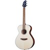 Breedlove Discovery S Concert European Spruce-African Mahogany Acoustic Guitar Natural - 3 of 4