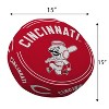 MLB Cincinnati Reds Vintage Circle Plushlete Pillow - 2 of 3
