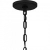 Quoizel Lighting Clifton 1 - Light Pendant in  Earth Black - 2 of 4