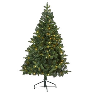 5ft Nearly Natural Pre-Lit LED Grand Teton Spruce Flat Back Artificial Christmas Tree Clear Lights - 1 of 4