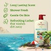 Old Spice Men's Fiji Palm Tree and Coconut Oil 2.6oz Antiperspirant & Doedorant + 30 fl oz Body Wash - 3 of 4