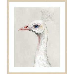 Amanti Art Alpine Peacock II by Grace Popp Wood Framed Wall Art Print - 1 of 4