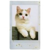 Fujifilm instax mini Soft Glitter Instant Film - 10ct - 3 of 4