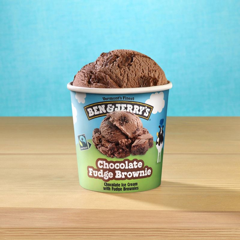Ben & Jerry's Ice Cream Chocolate Fudge Brownie - 16oz, 6 of 11