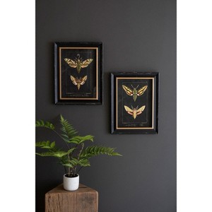 Framed Wall Art, Moth Prints Under Glass 18"H – Black Framed Insect Art, Set of Two by Kalalou - 1 of 3