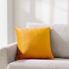 18"x18" Solid Velvet Square Throw Pillow - Crescent & Starlight - 2 of 4