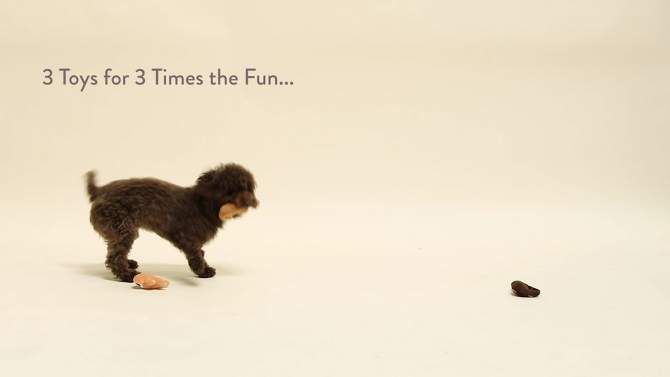 PetShop by Fringe Studio Basic Sloths Set Dog Toys - 3pk, 2 of 5, play video