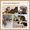 LOVMOR 38" Cat Tree for Indoor Cats, Cat Tower with Scratching Posts, Ramp, Condo, Toy Balls, Platform, Bed, Ramp - 2 of 4