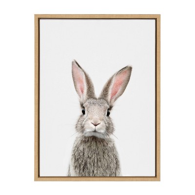 18" x 24" Sylvie Young Rabbit Framed Canvas by Amy Peterson Natural - Kate & Laurel All Things Decor