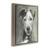 Stupell Industries Muted Dog with Quiet Expression Floating Frame Canvas Art, Brown, 18" x 18" - 2 of 4