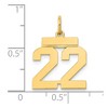 Black Bow Jewelry 14k Yellow Gold, Athletic Collection, Small Polished Number 22 Pendant - 4 of 4