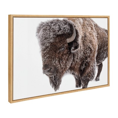 23 x 33 Sylvie Highland Cow Portrait Framed Canvas by Amy Peterson Gray -  Kate & Laurel All Things Decor