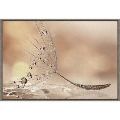 23" x 16" Prestige by Rina Barbieri Framed Wall Canvas - Amanti Art