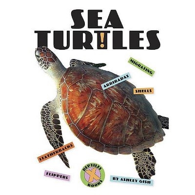 Sea Turtles - (X-Books: Reptiles) by  Ashley Gish (Paperback)