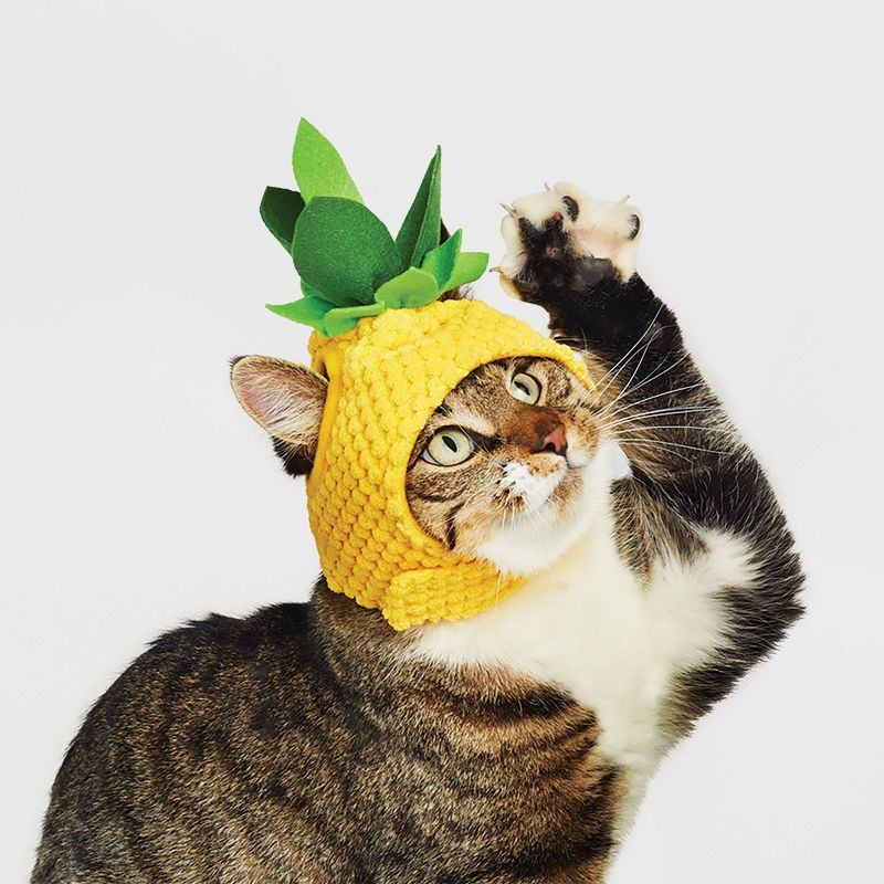 Halloween Pineapple Cat Costume - Hyde &#38; EEK! Boutique&#8482;, 5 of 12