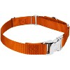 Country Brook Petz Heavyduty Nylon Martingale with Premium Buckle - 4 of 4