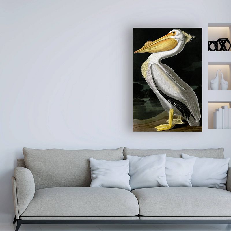 30&#34; x 47&#34; American White Pelican by John James Audubon - Trademark Fine Art, 4 of 7