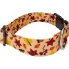 Country Brook Petz HossFit Jr Wide Deluxe Dog Collar - Awesome Autumn Collection - 3 of 4