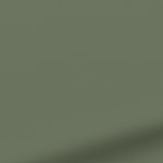 black / dark green