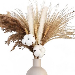 Alilang Pampas Grass and Cotton Dried Floral Arrangement with Wheat Accents, 17.5 Inches - Coffee - 1 of 4