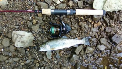 Berkley Trilene Xl Smooth Casting Clear 1,000 Yard Fishing Line : Target