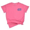 Simply Sage Market Embroidered New York Stars Garment Dyed Tee - 2 of 4