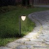 C Cattleya 2 Pack Versatile LED Solar Path Light 3000K/6000K - 4 of 4