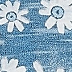 muted blue daisy floral
