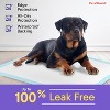 PetsWorld Extra Large Dog Training & Potty Pads (30x36 inches) – Super Absorbent, Leak-Proof, Quick-Dry Surface - 4 of 4
