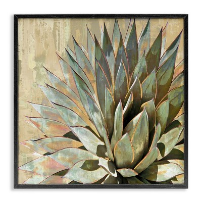 Stupell Industries Green Succulent Agave Leaves, 12" x 12"