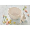 tagltd Beet Serving Bowl - 2 of 2