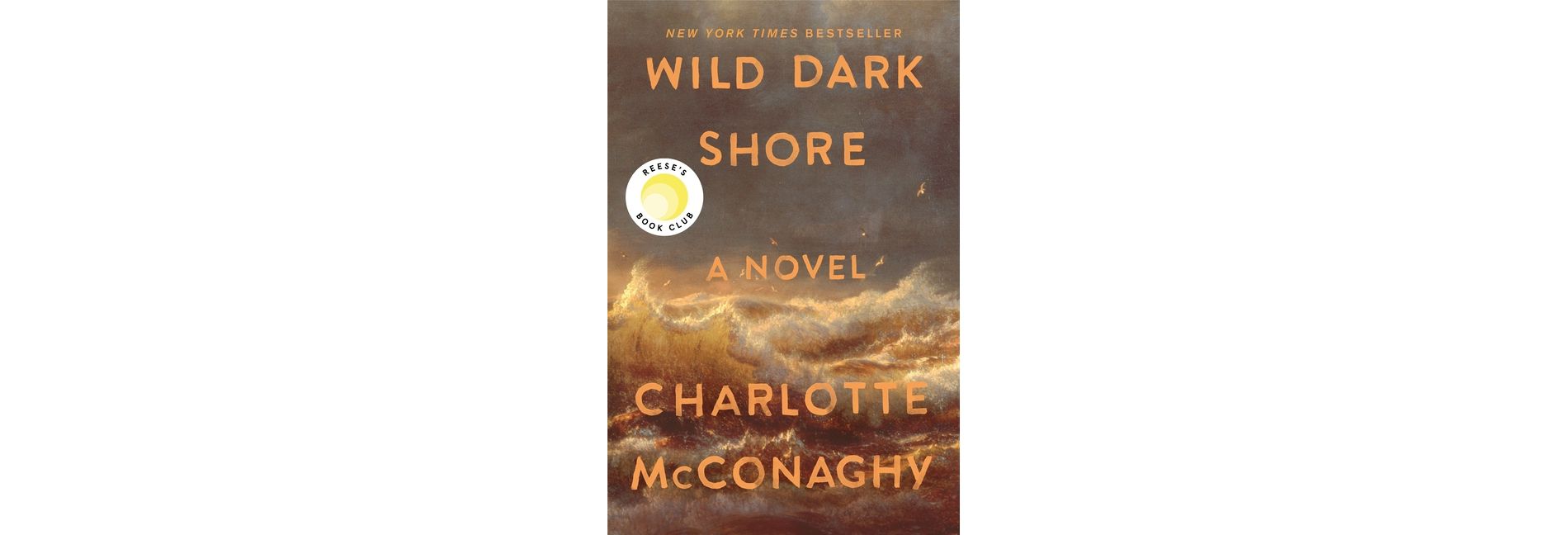 Wild Dark Shore - by  Charlotte McConaghy (Paperback)