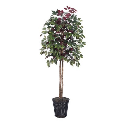 Vickerman Artificial 6' Capensia Potted Tree