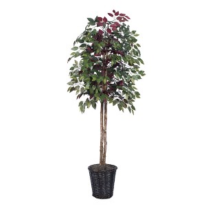 Vickerman Artificial 6' Capensia Potted Tree - 1 of 4