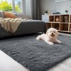 Itopfox Soft Fluffy Shaggy Area Rug for Living Room, Bedroom, Kids, Girls, Boys, Dorms, Nursery Rooms, Home Decor Aesthetic, Machine Washable, Grey - 3 of 4