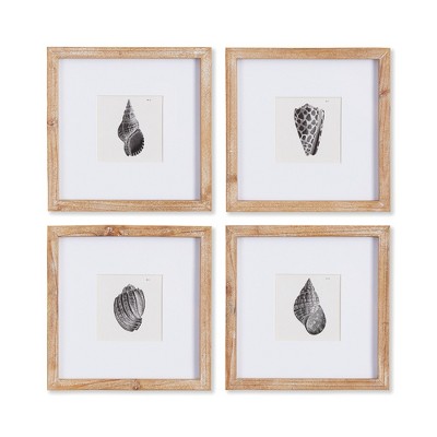 Plum & Post Seashell Petite Prints Set of 4