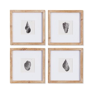 Plum & Post Seashell Petite Prints Set of 4 - 1 of 4