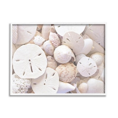 Stupell Industries White Mixed Sand Dollar Shells Framed Giclee Art