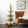 4' Sullivans Chartreuse Pine Tree, Green - 3 of 3